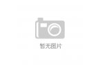 模型发布定档 对标Gemini 20 P